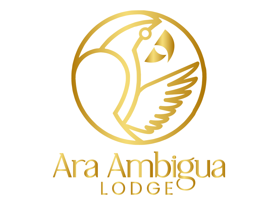 Logotipo de Ara Ambigua Lodge